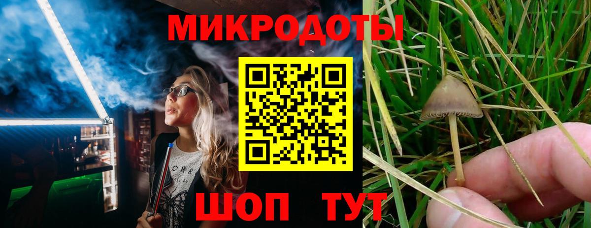 Нижний Тагил  Псилоцибиновые грибы Psilocybine cubensis  Галлюциногенные грибы мухоморы  Вход с VPN 